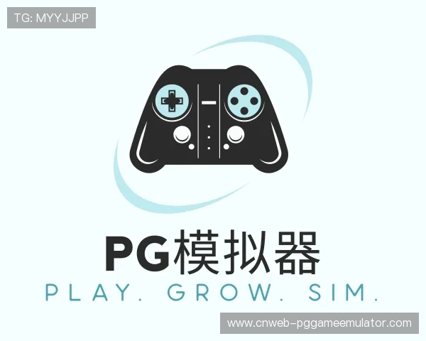 关于pg模拟器公司